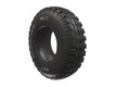 PNEU ROUE ESSIEU REMORQUE - PNEU AGRICOLE - PNEU 10.5/65X16TL BKT