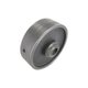 LSP - KVERNELAND ORIGINE - POULIE 1000 T/MN