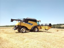 Les moissons en grandes jaunes